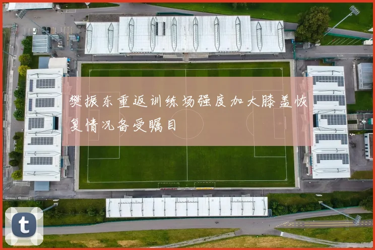 樊振东重返训练场强度加大膝盖恢复情况备受瞩目